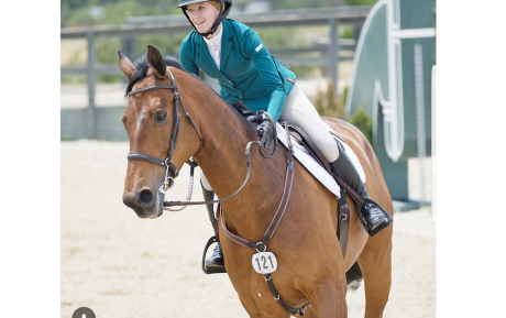 Agano Jumper sold by European Sporthorses