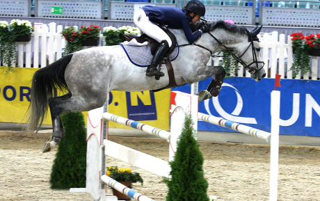 Calypso--Gelding-2007-byTjungske-SOld-by-European-Sporthorses-Pic-1