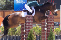 Collin-Sold-by-European-Sporthorses
