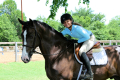 Graf Equitation horse sold to Lisa Williams Arizona Pic 1
