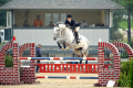 Mare-by-Indorado-2008-KY-Jumper-Hunter-for-sale-Pic-1