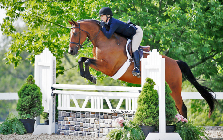 Split Hunter for sale Equitation horse for sale Kentucky 2019