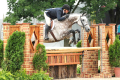 Zybon-Gelding-2004-Hunter-for-sale-KY-Pic 2