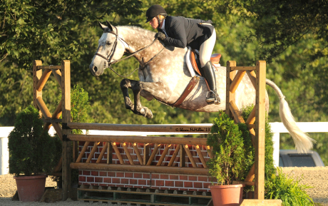 Zybon-Gelding-2004-Hunter-for-sale-KY-Pic-3