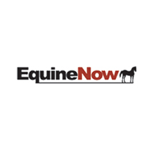 Equine now Logo.JPG