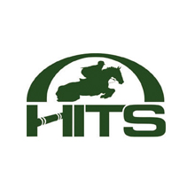 Hits logo profilesq